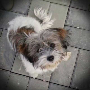 “棋盘阵”04期：和山毛榉、TT一起聊聊“它的名字”