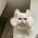 难得今天放晴