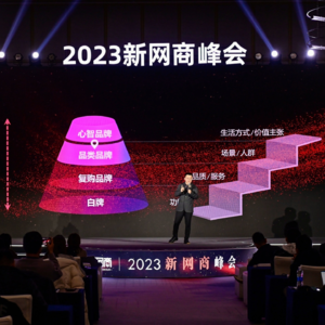 Vol 16.年度演讲：对话百位商家后，我总结出一个品牌高增长模型