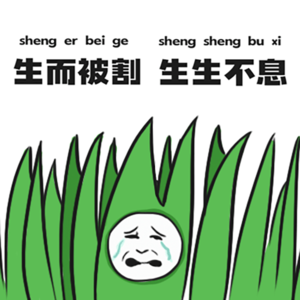 说说生活中的智商税！