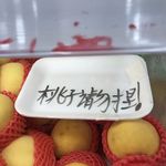 富川发电机