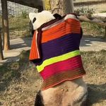 你的骨头