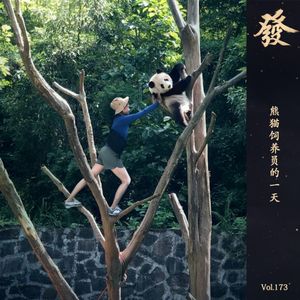 173期 - 熊猫饲养员的一天（四川话版）