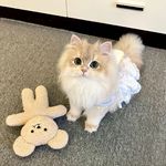爱吃葡萄o