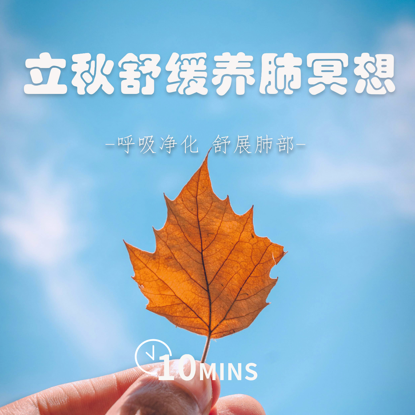 10MINS | 立秋养肺冥想 | 呼吸净化 舒展肺部 episode artwork