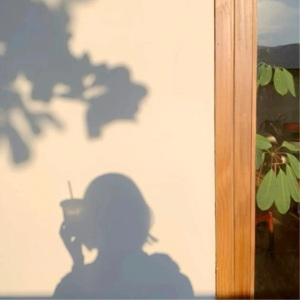 Vol.101向旧时光借一盏灯，照亮慌张的自己