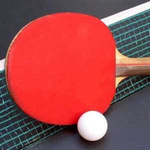 王楚钦折戟八强，孙颖莎未战先“怯”，全队一天输10场外战，国乒到底怎么了？