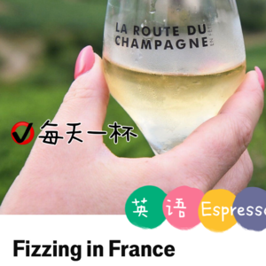 【189】Sante! 香槟脑袋福音来了