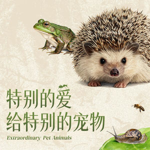 【重口预警】 异宠专题：不想养小狗小猫可以来试试本期节目里介绍的动物哦