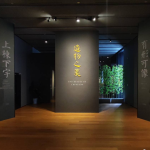 浙江大学艺术与考古博物馆-造物之美-20250425