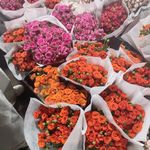 人生修行慢慢路