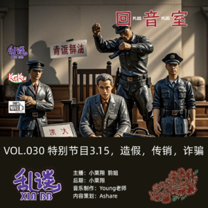 VOL.030 特别节目3.15，造假，传销，诈骗