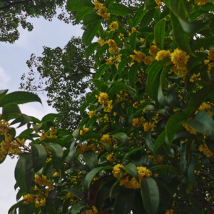 一个人的旅行可以有多爽