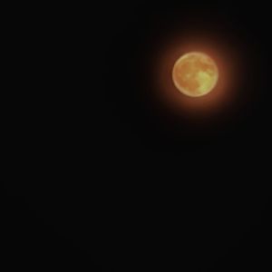 podcaster-avatar