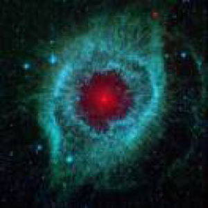 诗人严彬在做什么？