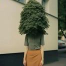 焦糖爆米花_ZTb0