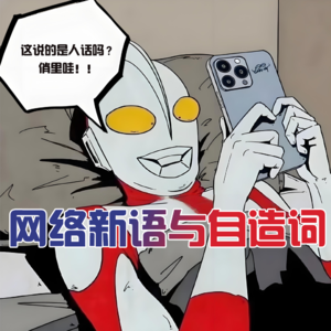网络新语与自造词 - 北京话事人0196