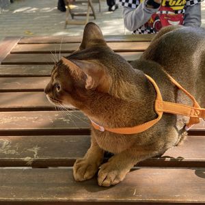 丢丢iuiu