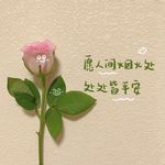 尘炼
