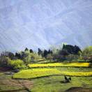 静悄悄_a5AR