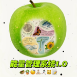 13 对话一周7️⃣练运动博主｜易疲劳体质如何搭建「能量管理系统」？