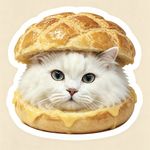 吴路赛