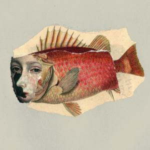 EP41 【推理海龟汤第六弹】笃笃笃，好听就是好脑壳