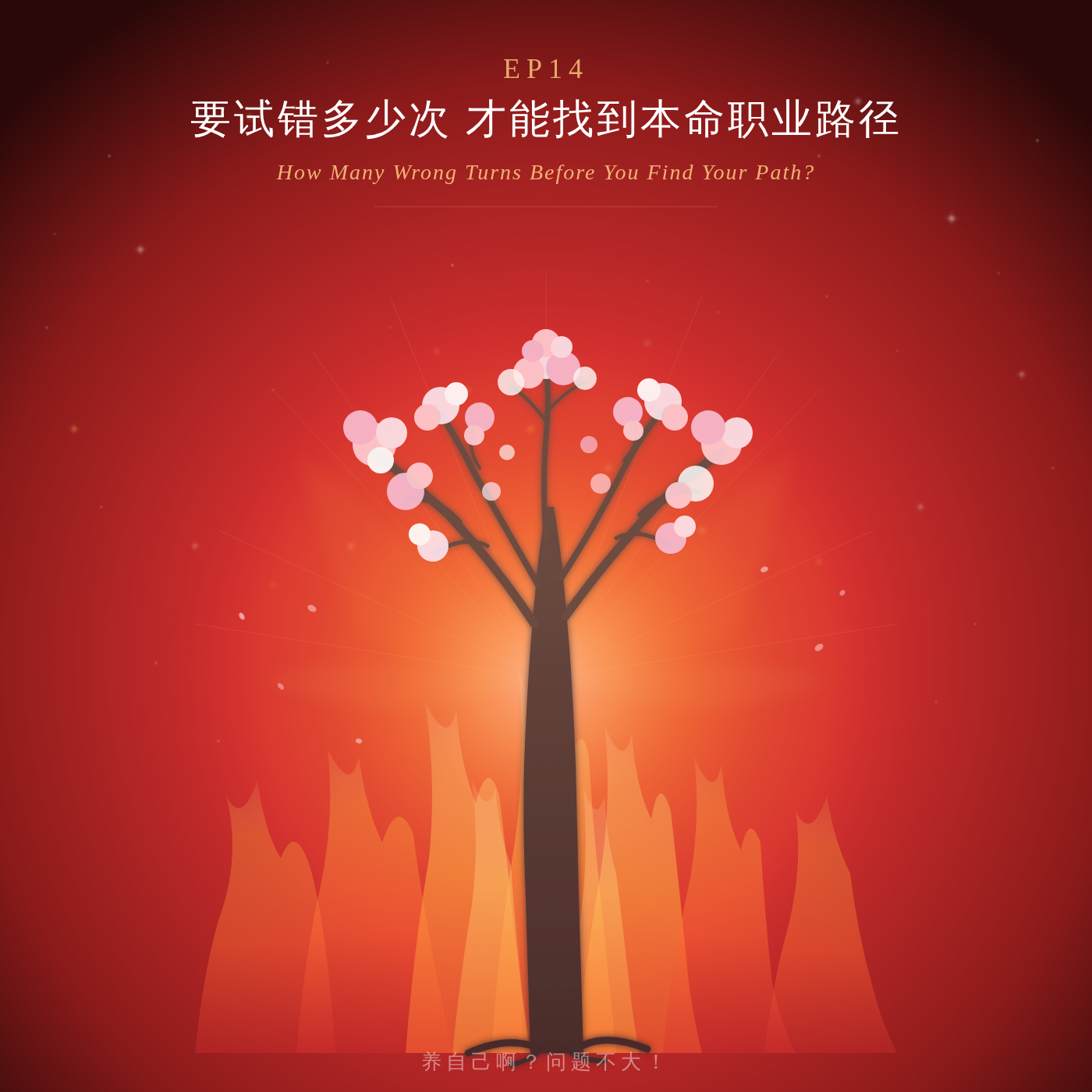 14.要试错多少次,才能找到事业甜蜜点? episode artwork