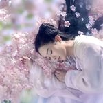 郁金丷