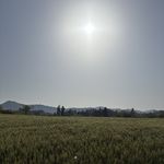 若惜-6