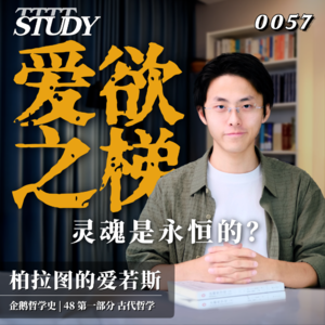 【企鹅哲学史】爱欲之梯 灵魂是永恒的？｜48 古代哲学 柏拉图的爱若斯