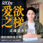 【企鹅哲学史】爱欲之梯 灵魂是永恒的？｜48 古代哲学 柏拉图的爱若斯