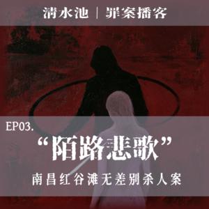 E03.“陌路悲歌”：南昌红谷滩无差别杀人案