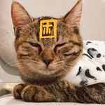 后青春期的天平