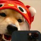 杰尼呱