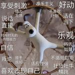 我只是来学习的