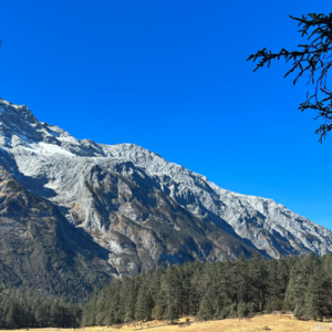 Ep14：《如雪如山》：教我们该如何看见痛、表达痛、战胜痛