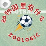 2026世界杯加更｜青春不过几届世界杯！回望02国足记忆，见证传奇球星最后一舞！赛场内外、足坛帅哥…趣闻新料都在这了！