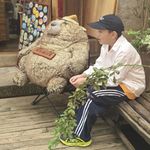 老高14