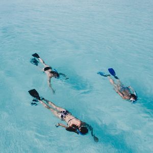 No. 120 - 职场｜放假噜！ 顺便围观他们跃上高阶职场