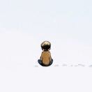 换个大点儿的碗