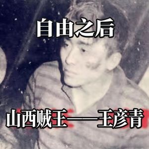 Vol.21 自由之后：“山西贼王”王彦青案 | 财产犯罪能不能判死刑？“人才”是不是免死金牌？