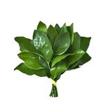 Dorise-