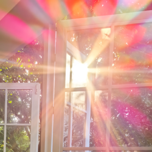 Vol.22 婚纱照是一场关于“爱与记忆”的仪式