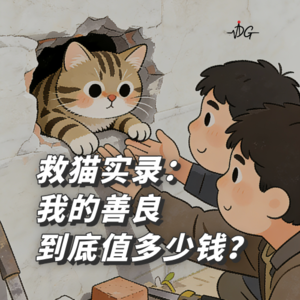 救猫实录——我的善良，到底值多少钱？ | Vol.14 宠物专题