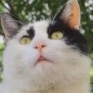 冬沉想做精神姐版