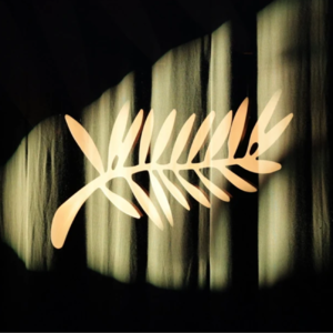 纸面实力强不少/导演双周片单真强/朴赞郁是二流导演？ – 79届戛纳国际电影节前瞻