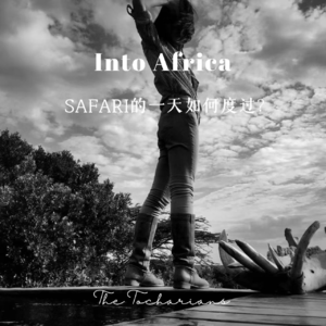 Into Africa：非洲有态度，旅行有要求，Don't be a fool很重要