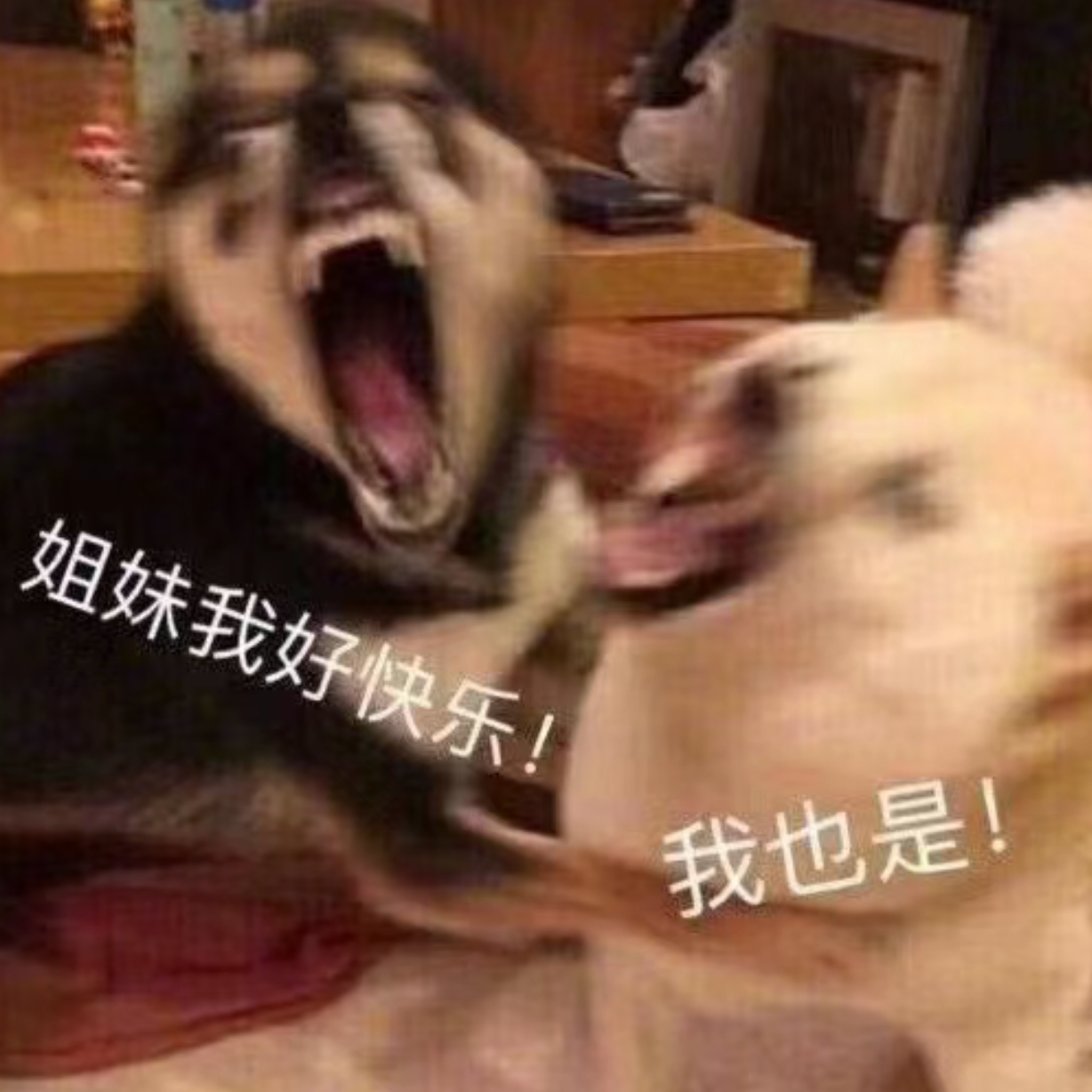 ep19. E人和E人也不是一种人！｜mbti真不是什么生命密码啊！ episode artwork