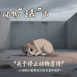 动物法声：向动物虐待说“不”！支持动物保护立法刻不容缓！